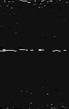 MTVZA-20.png